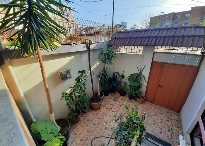 Bed and breakfast 53 Tirana